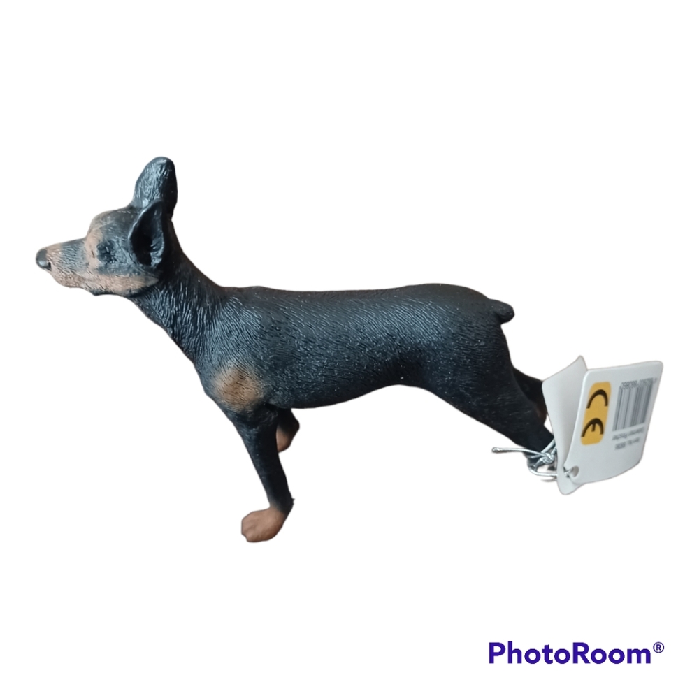 Doberman NO TAGS